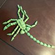 20240216_123752.jpg flexi facehugger - print in place - fidget toy