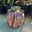3.png PolyFace Planter