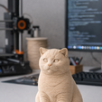 bsh3.png Gato Británico de Pelo Corto STL - Modelo de Impresión 3D Realista de Gato Sentado - Figurilla para Decoración del Hogar - FDM Amigable - Alto Detalle 0.15mm Capa Optimizada