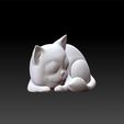 cat2.jpg Cute cat sleeping - decorative cat - lovely cat