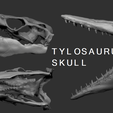 Tylosaur v2.png Mosasaurus Skull 3D Print