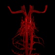 3.png 3D Model of Heart and Cardiovascular System
