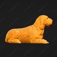 1070-Basset_Griffon_Vendeen_Petit_Pose_08.jpg Basset Griffon Vendeen Petit Dog 3D Print Model Pose 08