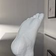 7.jpg Human foot