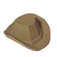 IMG_1863.jpeg Cow Boy hat Low Poly Accessory For Gorilla Tag Digital File For Personal Use and Personal 3D Printing