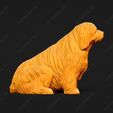 1326-Bearded_Collie_Pose_04.jpg Bearded Collie Dog 3D Print Model Pose 04