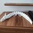 2.jpg Файл STL НАСТРАИВАЕМЫЙ ДРАКОН СКЕЛАТОН・3D-печатная модель для загрузки