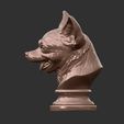 CHIHUHUA-BUST-2.jpg CHIHUHUA BUST