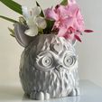 IMG_8993.jpg FURBY PLANTER