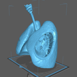L2.png Archivo STL Sistema respiratorio・Modelo imprimible en 3D para descargar