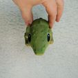 3D-Print-Flexi-Crocodile-Sensory-Toy.3.jpg Flexi Croc