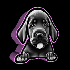 Naamloos.png Leuchtkasten labrador welpe lithophan