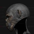03.jpg King Monkey Mask - Kingdom of The Planet of The Apes