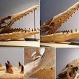 TYLO3.jpg Mosasaurus Skull 3D Print
