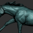 20.png Horse Running