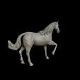 19.jpg American Quarter Horse model 3D print model