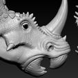 06.jpg Triceratops Head