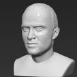 jesse-pinkman-breaking-bad-bust-ready-for-full-color-3d-printing-3d-model-obj-stl-wrl-wrz-mtl (23).jpg Jesse Pinkman Breaking Bad bust 3D printing ready stl obj