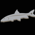 Common-barbel-keychain-2d-3.png Common barbel / Barbus barbus fish 2d keychain / pendant