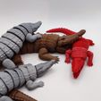 IMG_20231114_214104.jpg Crocodile Flexi