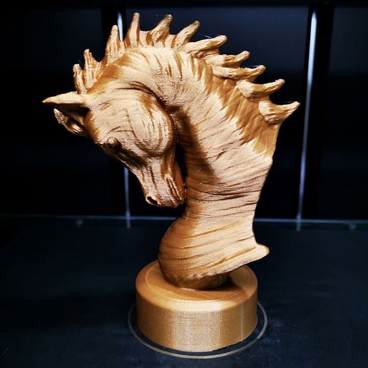 Arabian Horse Bust 3D model