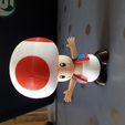 Toad from Mario games - Multi-color