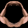 Megalodon-jaw-matcap-5.png Megalodon jaw 3D print model