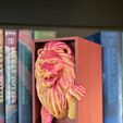 IMG_5420.jpeg Lion Emerging- Gryffindor Inspired Book Nook