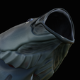 coalfish-open-mouth-statue-box-36.png COALFISH / POLLACHIUS VIRENS trophy with storage space for 3d printing