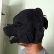 20220909_145604.jpg Bear head mask costume