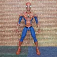 IMG_20220907_103035_383.jpg Spider-Man: Friend or Foe Complete Action Figure