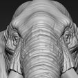 15.jpg Elephant African Head