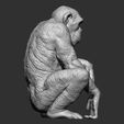Chimpanzee-monkey-stl-3d-printable-model-5.jpg Singe chimpanzé stl modèle imprimable en 3d