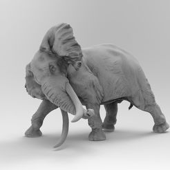 elephant.jpg elephant