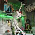 426133238_385584160873801_7343644900856117795_n.jpg Gremlins 2 Skeleton Melting Pose