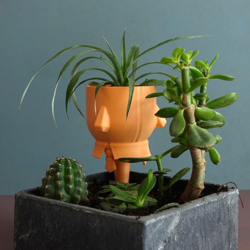 04.jpg Pflanzgefäß "Extra"