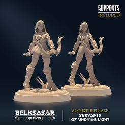 N001.png Fichier STL Undying Light Sentinel E Nude et Normal・Plan à imprimer en 3D à télécharger