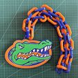 IMG_6478.jpeg Florida Gators Rede NCAAF