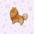 2.png Pomeranian Dog