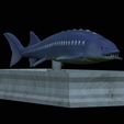 Sturgeon-statue-8.png fish beluga / sturgeon / huso huso / vyza velká statue detailed texture for 3d printing