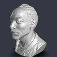 tyyityitiy.png Snoop Dogg 3D Printable Bust STL