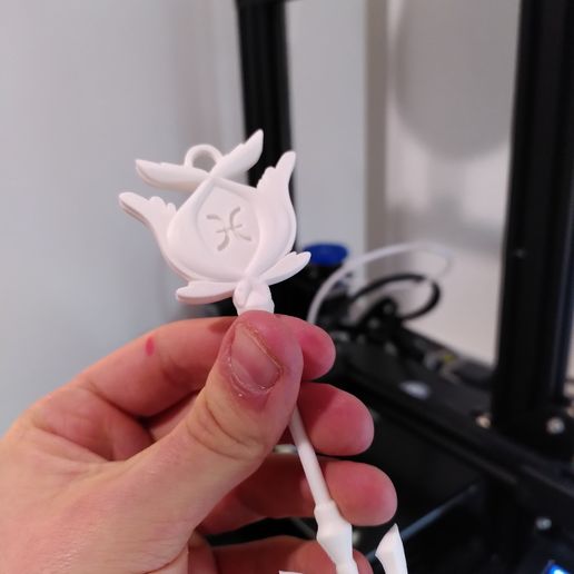 142449020_184161506791334_7063036252581629337_n.jpg Pisces key