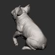French-Bulldog10.jpg French Bulldog 3D print model
