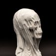 EJB16255.jpg Draped Skull Bust (Pre Supported)