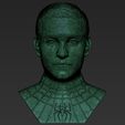 28.jpg Spider-Man Tobey Maguire bust 3D printing ready stl obj formats