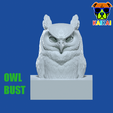 owl.png Eule Büste Modell - Tier - 3D-Druck