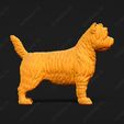 3078-Cairn_Terrier_Pose_01.jpg Cairn Terrier Dog 3D Print Model Pose 01