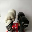 IMG_20210201_171625.jpg Boxing Gloves Stand