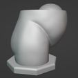 Screenshot_5.jpg Anatomy Model of Pregnancy Pelvis