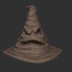 1.jpg STL file hat harry potter sorting hat・3D print design to download